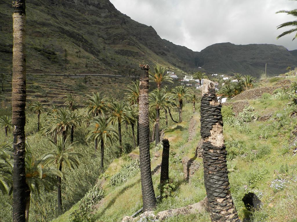 Wanderung von Arure nach  El Cercado, Calera